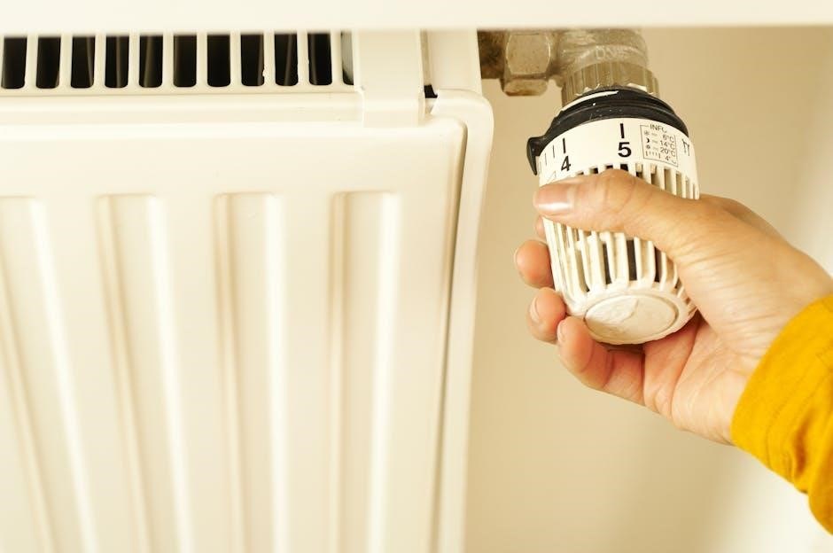 ruud thermostat user manual