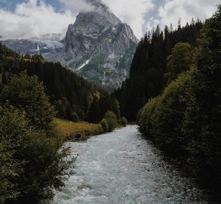 printable peak flow chart pdf