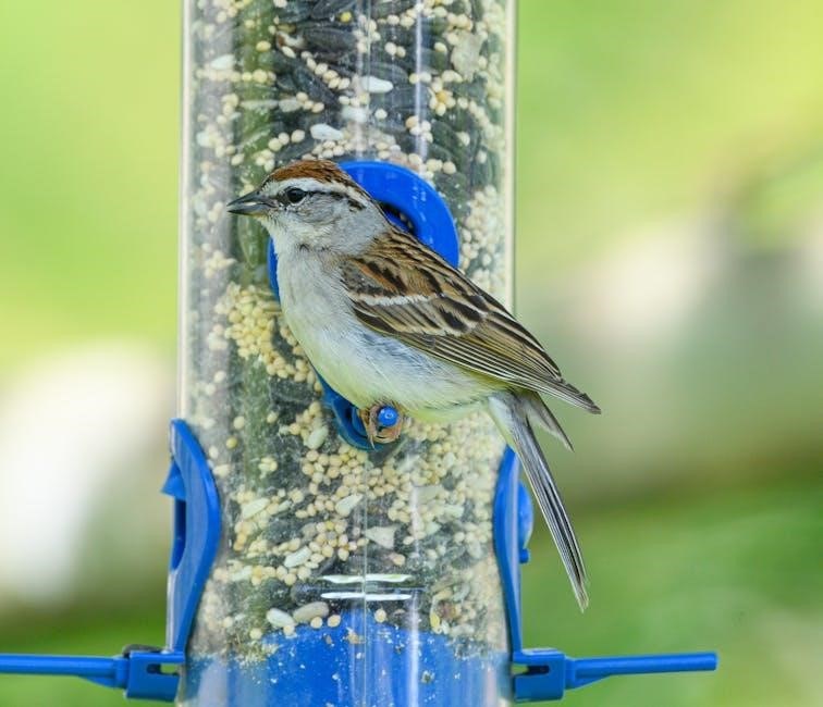 wuipet automatic feeder manual
