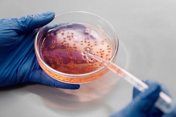 list of laboratory tests pdf
