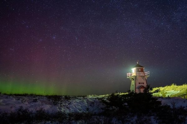 guide to eligibility and excusal