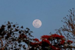 lunar calendar 2024 pdf free download