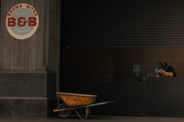 delonghi ecam 22.110 b manual