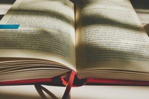 the brothers karamazov summary pdf